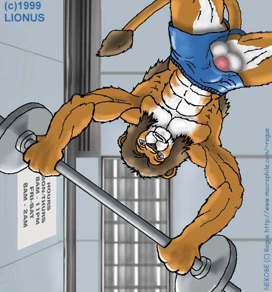 Spotter by Lionus