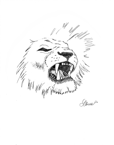 Lion head by Lionus